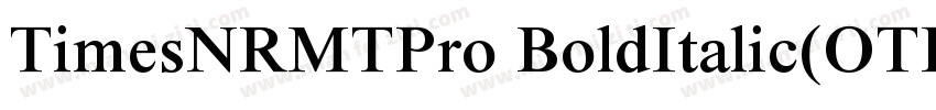 TimesNRMTPro BoldItalic(OTF)字体转换